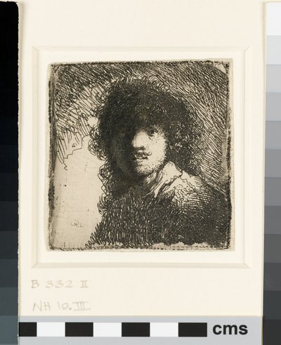 Zelfportret zonder hoed: buste, c.1629 door Rembrandt van Rijn