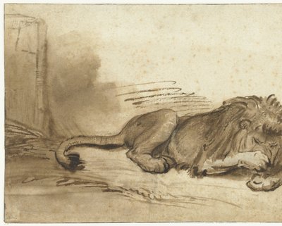Liggende leeuw met zijn voorpoot over zijn snuit door Rembrandt van Rijn (school of)