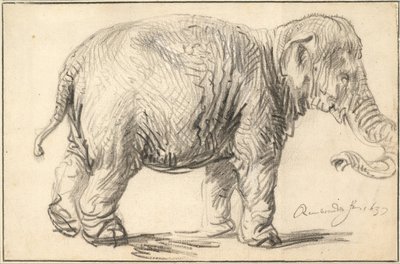 Een Olifant, 1637 door Rembrandt van Rijn