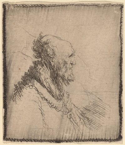 Kale Oude Man met een Korte Baard in Profiel door Rembrandt van Rijn