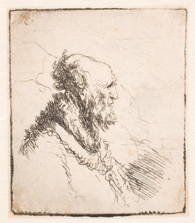 Kale oude man met een korte baard, profiel rechts door Rembrandt van Rijn