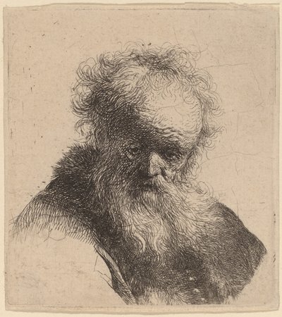 Buste van een Oude Man met Lange Baard en Witte Mouw door Rembrandt van Rijn
