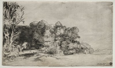 Boomgroep met een doorkijk, 1652 door Rembrandt van Rijn