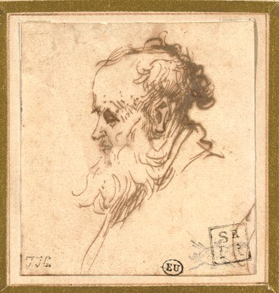Hoofd van een bebaarde man in profiel naar links door Rembrandt van Rijn