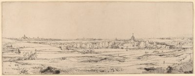 Landschap met uitzicht op Haarlem (Het veld van de goudweger) door Rembrandt van Rijn