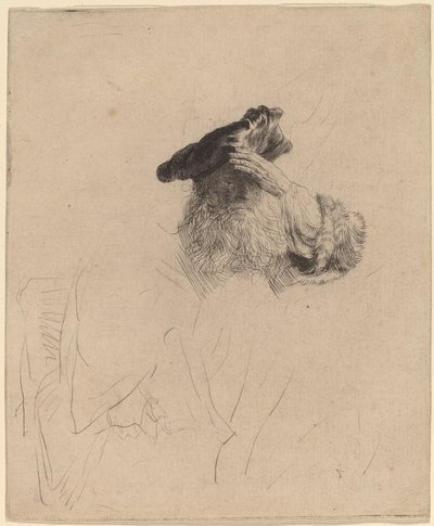 Oude man die zijn ogen met zijn hand afschermt door Rembrandt van Rijn