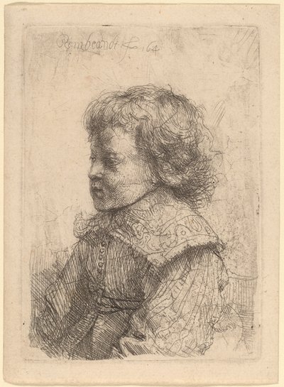 Portret van een jongen in profiel door Rembrandt van Rijn