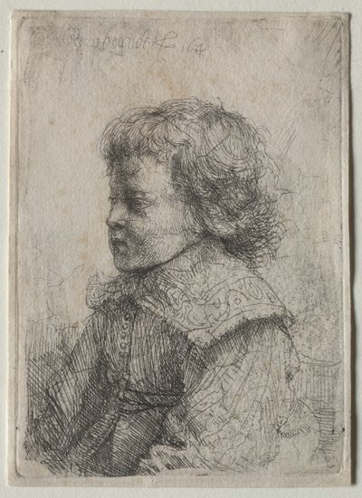 Portret van een Jongen in Profiel, 1641 door Rembrandt van Rijn