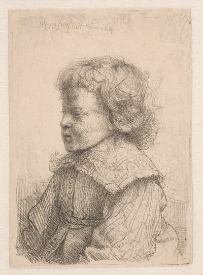 Portret van een jongen, in profiel door Rembrandt van Rijn