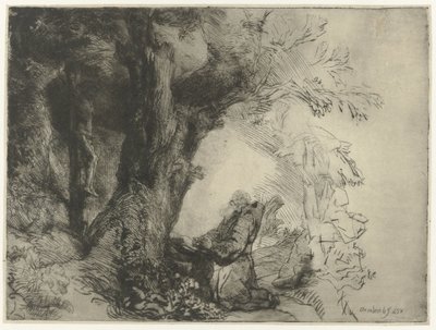 Sint Franciscus onder een boom, biddend door Rembrandt van Rijn
