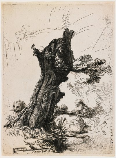 Sint-Hieronymus bij de geknotte wilg door Rembrandt van Rijn