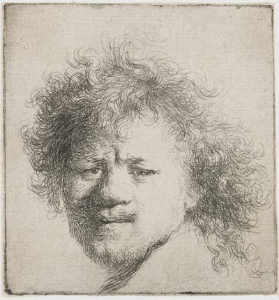 Zelfportret met lang, wild haar: alleen hoofd door Rembrandt van Rijn