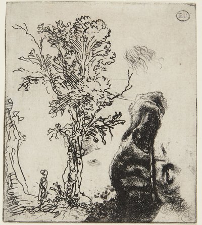 Blad met twee studies: een boom en het bovenste deel van een zelfportret met een fluwelen muts door Rembrandt van Rijn