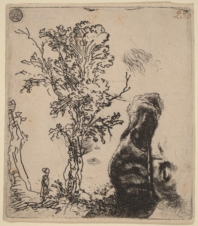 Blad met twee studies: een boom en het bovenste deel van het hoofd van de kunstenaar met een fluwelen muts op door Rembrandt van Rijn