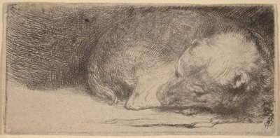 Slapende puppy door Rembrandt van Rijn
