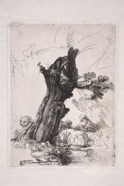 De heilige Hiëronymus, schrijvend bij een wilgenstam door Rembrandt van Rijn
