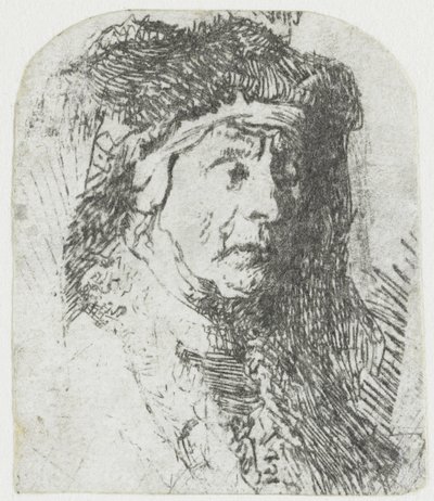 Vrouw in een bontjas door Rembrandt van Rijn