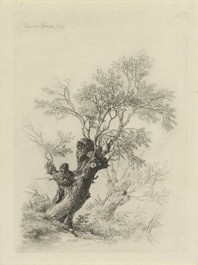 Wilgenboom door Remigius Adrianus Haanen