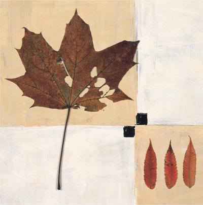 Stilleven met herfstbladeren door Renate Holzner
