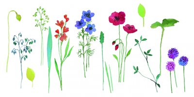 Kleurrijke bloemen in aquarel door Renate Holzner