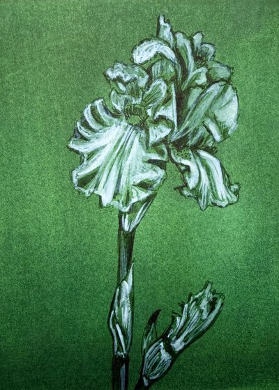 Elegante groene iris door Renee Machan Cottagecore Artist