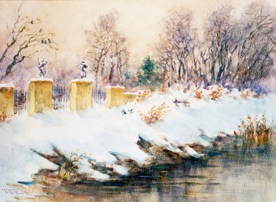 Sneeuwval op naviglio door Renzo Weiss