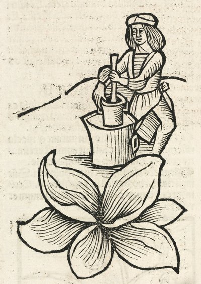 Middeleeuwse man die een vijzel en stamper gebruikt om planten te malen door John Pardon