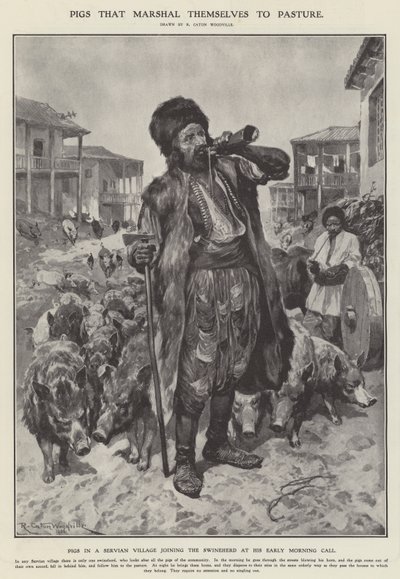 Varkens die zichzelf naar de wei leiden (litho) door Richard Caton II (after) Woodville