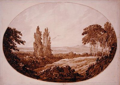Landschap, bomen en rotsachtige heuvels door Richard Cooper
