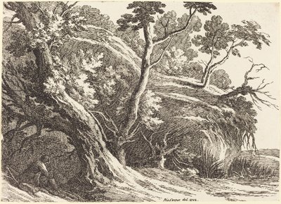 Landschap met grote bomen door Richard Cooper II