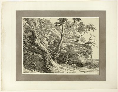 Landschap met grote bomen, uit de eerste uitgave van Specimens of Polyautography door Richard Cooper II