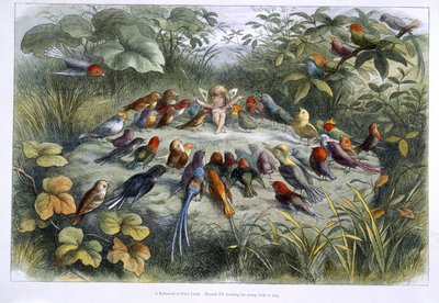 Een elf en vogels door Richard Doyle