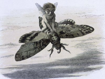 Een elf die op een vlinder rijdt. Illustratie van Richard Doyle uit "In Fairy land. Een serie afbeeldingen uit de elf-wereld" vergezeld van een gedicht van W Allingham. 1869-1870. The British Library Institution Reference: Shelfmark ID: 1876 e18 