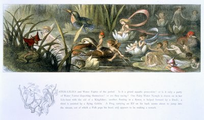 Waterlelies en waterfeeën, illustratie uit 