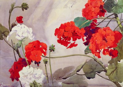 Rode en witte geraniums (aquarel) door Richard E. Clarke