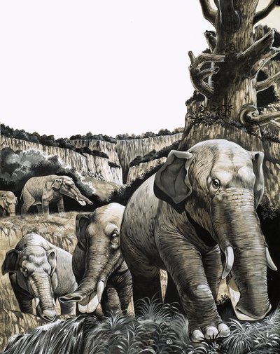 De vreemde Amebelodon door Richard Hook