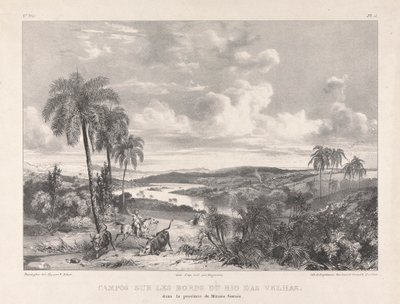 Campos aan de oevers van de Rio das Velhas door Richard Parkes Bonington