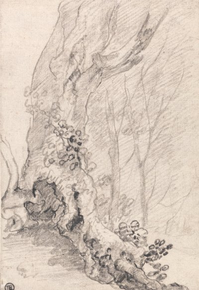Studie van een oude boom: stam en met klimplanten bedekte wortels door Richard Wilson