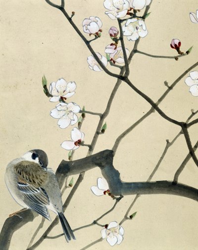 Vogel - Japanse tekening door Riou Chim, eind 19e eeuw door Riu Chim
