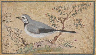 Studie van een vogel door Riza