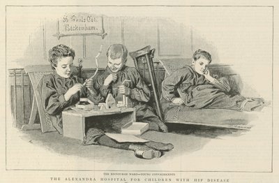 Het Alexandra Ziekenhuis voor Kinderen met Heupziekte: De Edinburgh Afdeling door Robert Barnes