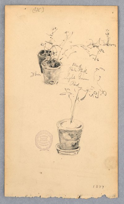 Tekening, Bloempotten, 1877 door Robert Frederick Blum