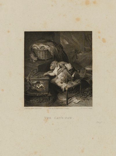 De poot van de kat door Robert Graves
