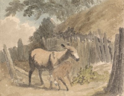 Een Ezel en Veulen door Robert Hills