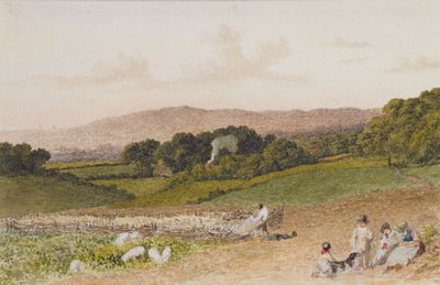 Het Koolveld door Robert Hills