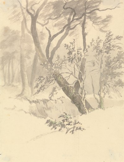Het Bos door Robert Hills