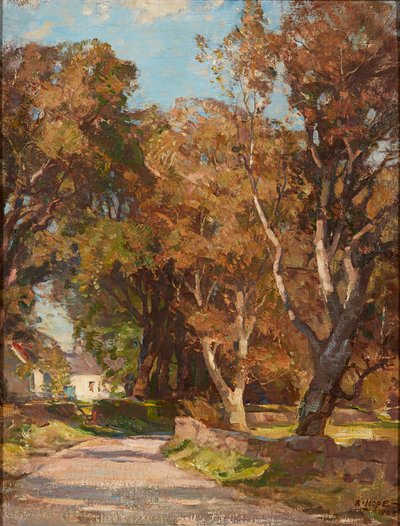 Langs de weg bij Colvend Manse, Dalbeattie door Robert Hope