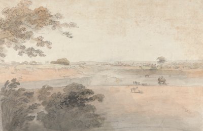 Landschap met kamelen en olifanten door Robert Mabon