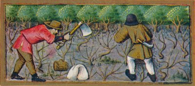 Maart - werken in de wijngaard, 15e eeuw, 1939 door Robinet Testard
