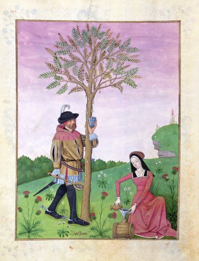 Ms Fr. Fv VI #1 fol.162v Sap Tappen uit een Boom, Illustratie uit het 